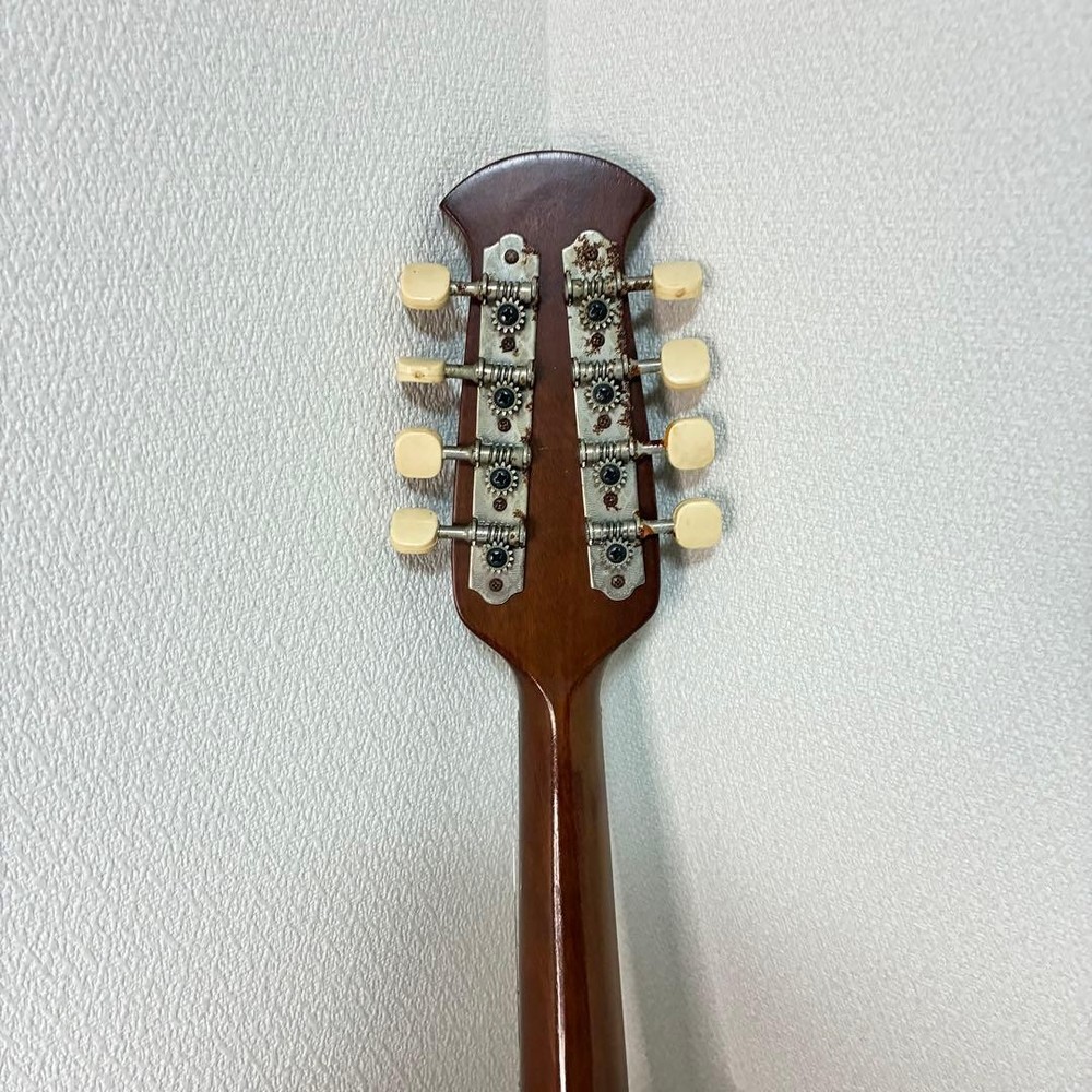 Mandolin SUZUKI M-210 Suzuki