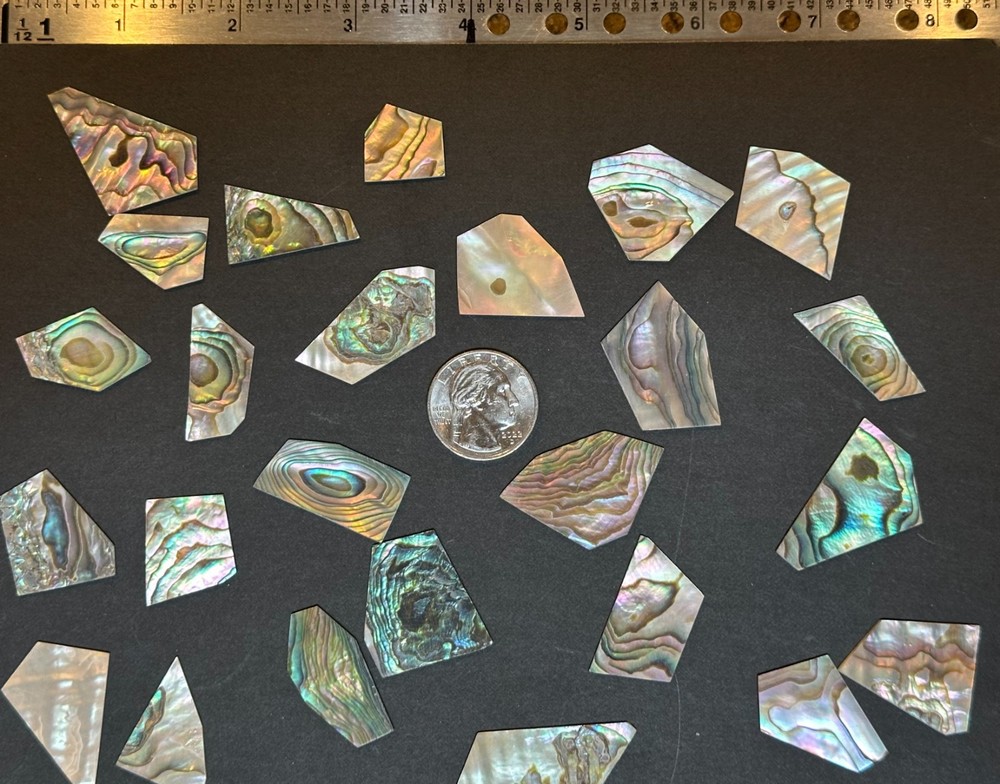 (1 oz) Green Abalone Shell Inlay Blanks .040" Thick ~22-26 pc