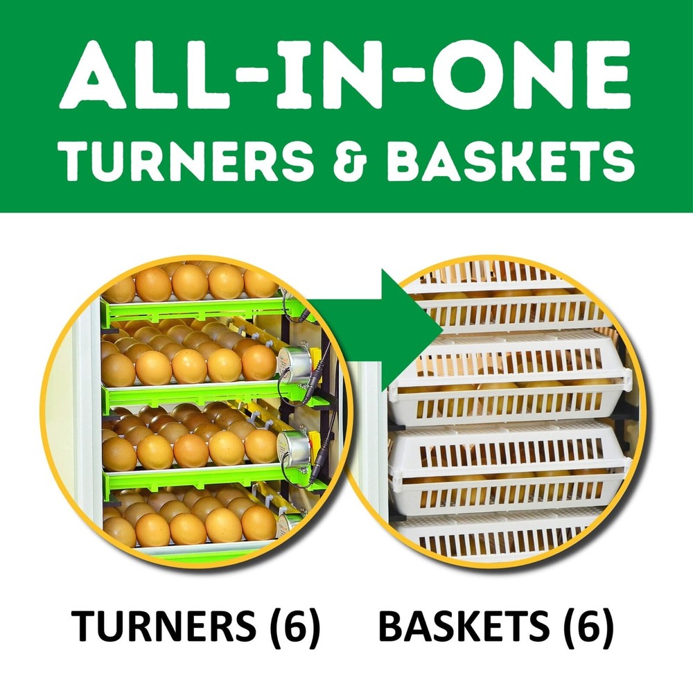 CT180 SH - Egg Incubator - Setter & Hatcher