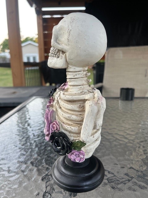 9 inch Skeleton Skull Figurine Statue
