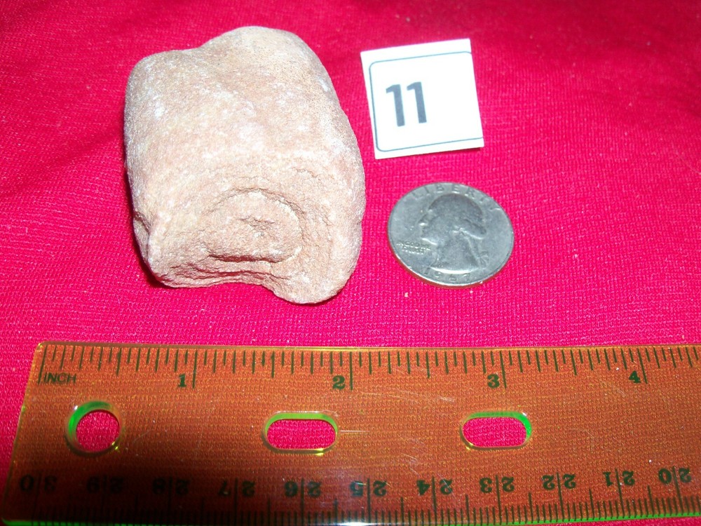 Stromatolite fossil large size.