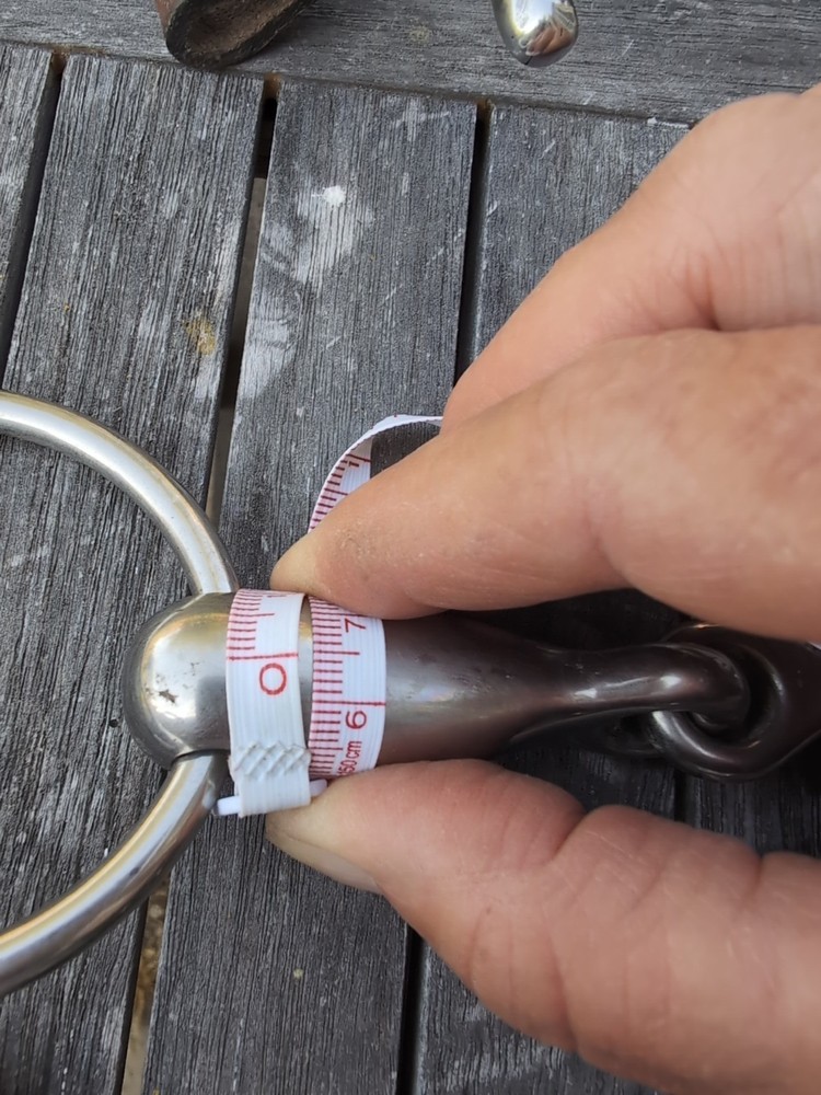 Loose Ring Snaffle Bit 5.0 In