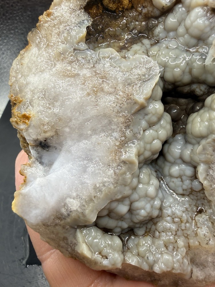 Ancient Fossilized Indiana Geode Botryoidal Agate 1,960 Carats