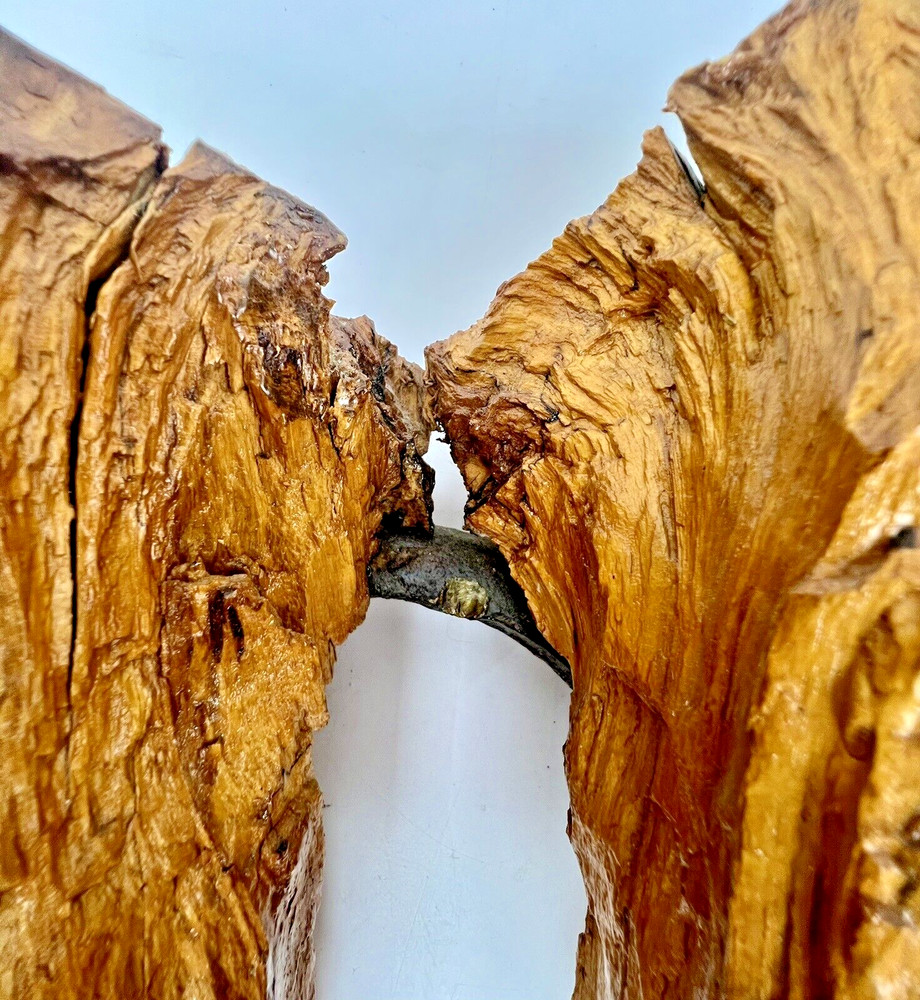 Old Horseshoe Embedded in a Tree 11" X 10" Primitive