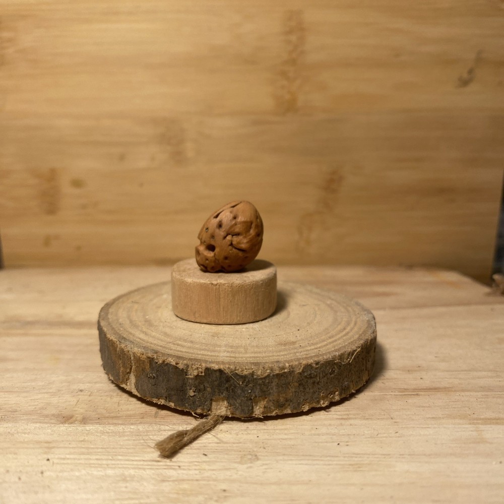 Miniature Skull 13 Carved From A Peach Pit