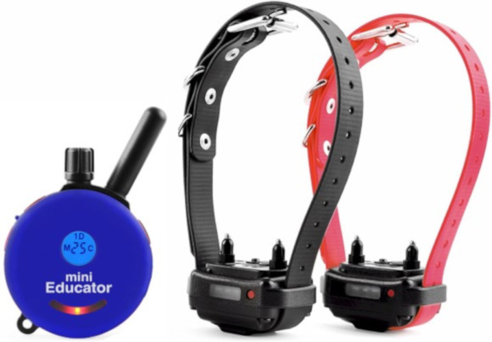 E-Collar Technologies Educator Mini Dog Training Collar 1/2 mile Range ET-300