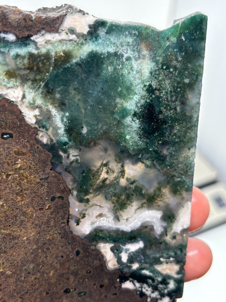 Semi-translucent Moss Agate Slab Cabbing Lapidary Carving Combo Ship Avail