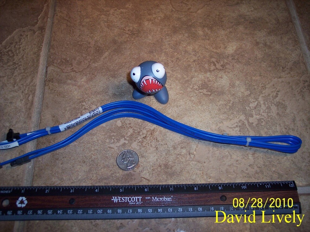 Dell XT376 Poweredge T100 sata Cables CN-0XT376 29"