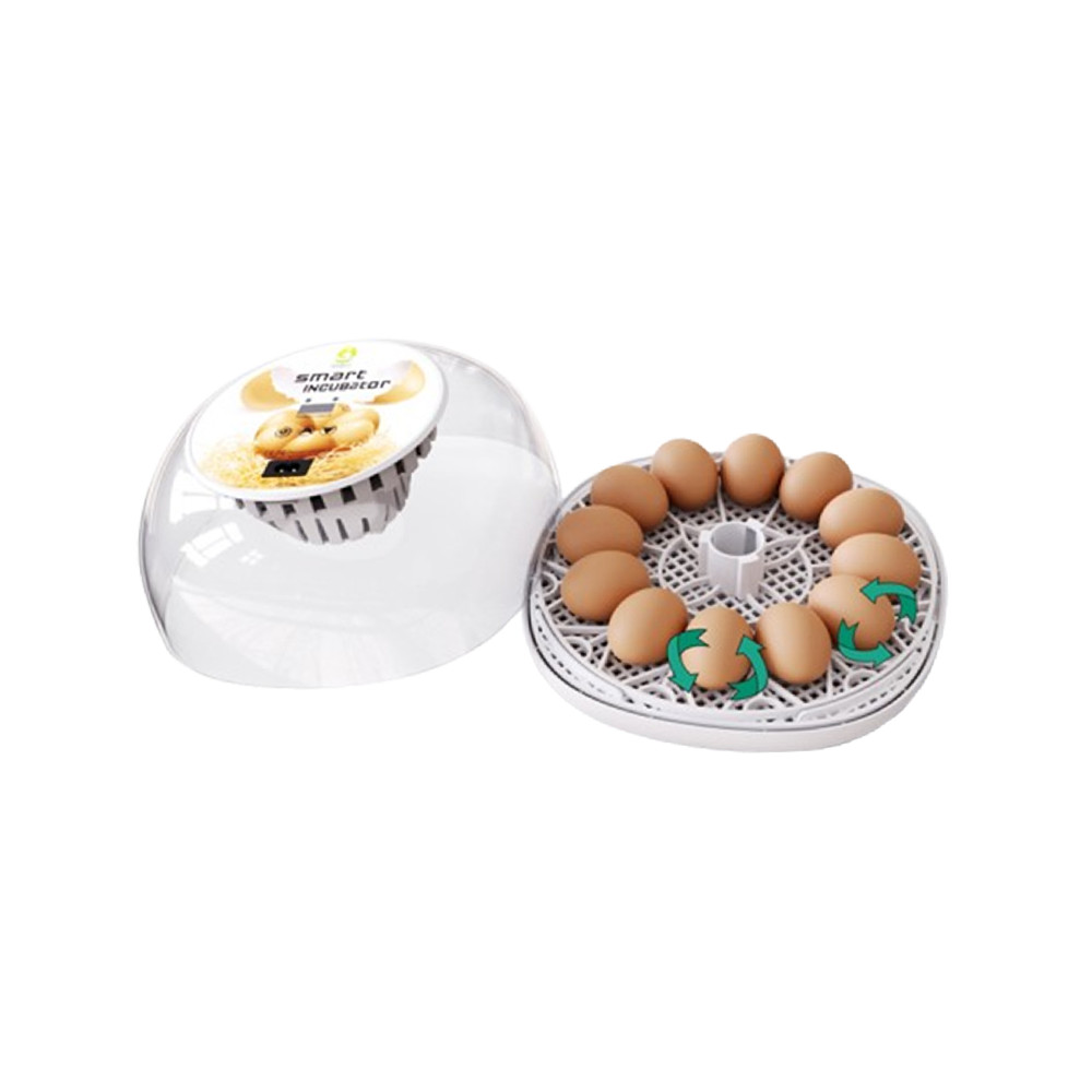 Incubators for Hatching Eggs 12 Eggs with Automatic & Humidity Control