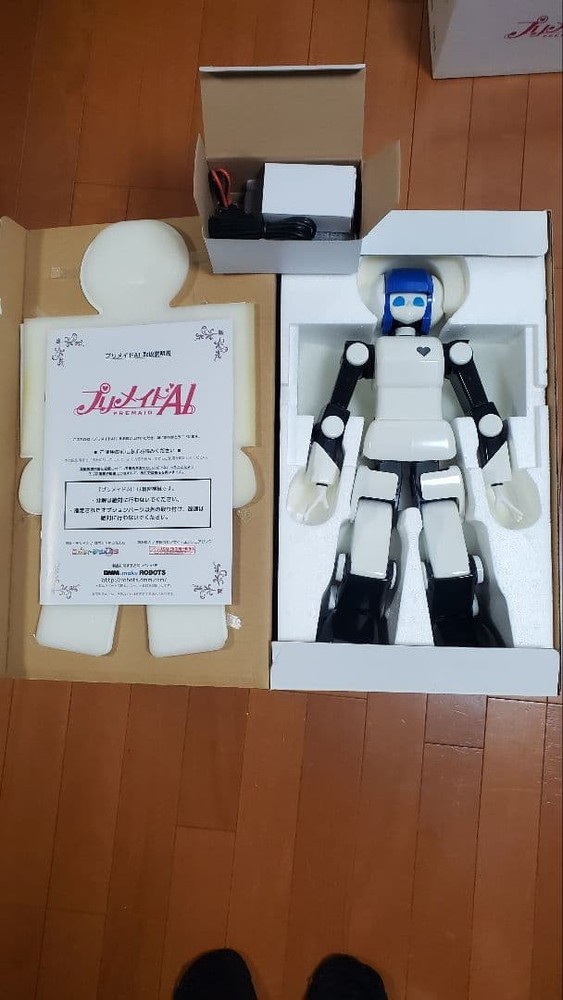 3DS/2DS/DS Dmm.Com Premaid Premade Ai Activation Confirmed Japan