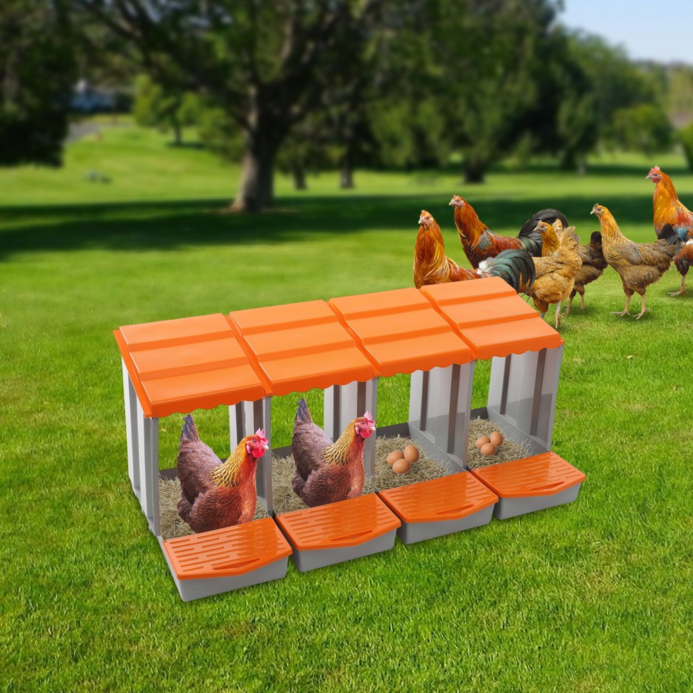 4-Compartment Chicken Nesting Box Freestanding Orange Chicken Nesting Box Modern