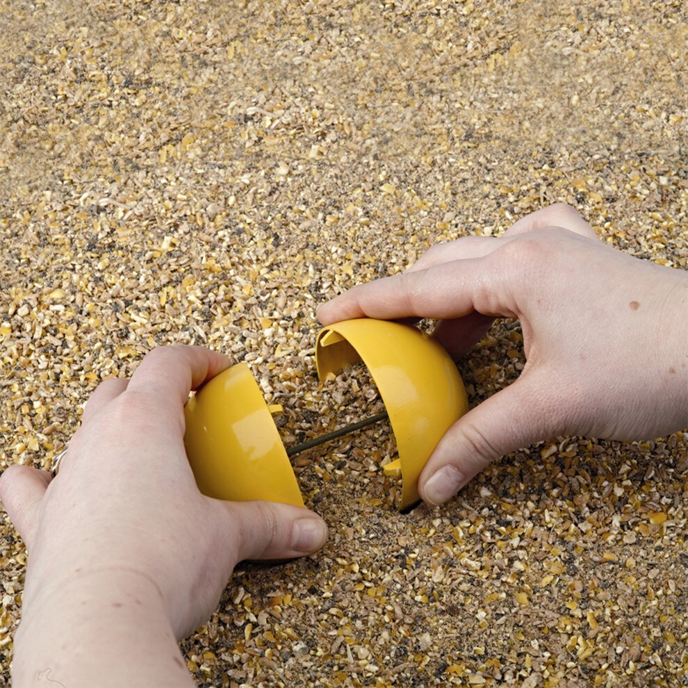 Lixit Chicken Feed Toy