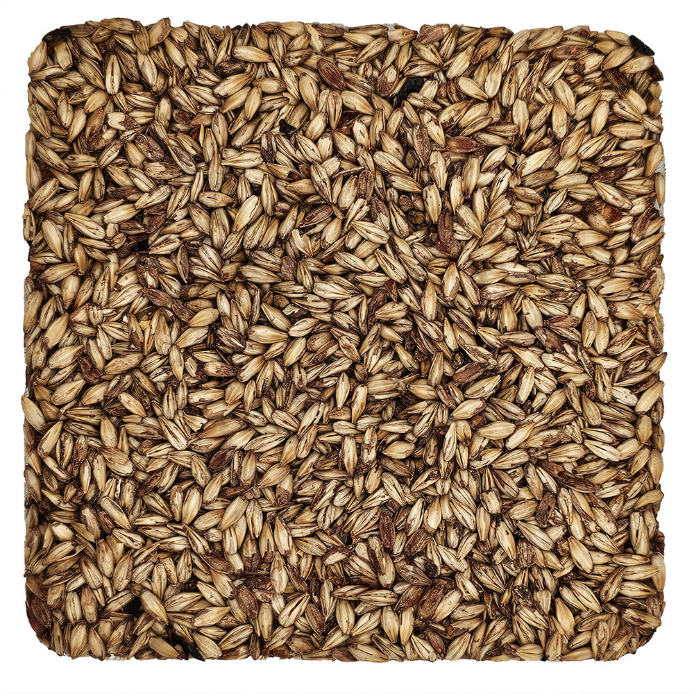 Home Brew Ohio Caramel 10L Grain 1lb