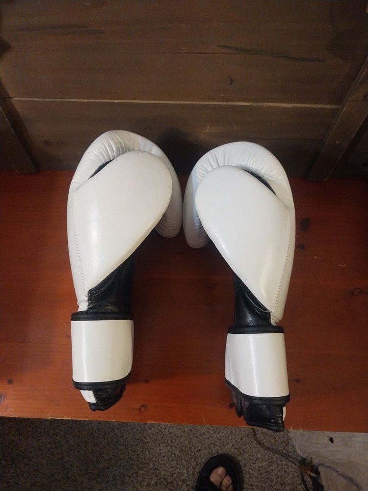 Daniel Gracie 16oz gloves