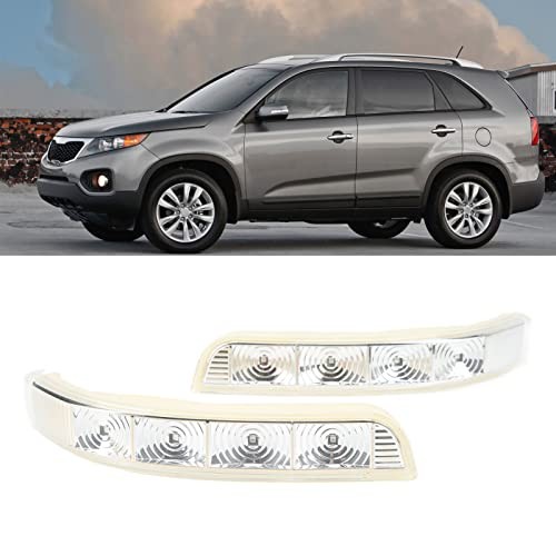 1 Pair 12V Car Rear View Mirror Side Turn Light ABS Low Voltage Consumption