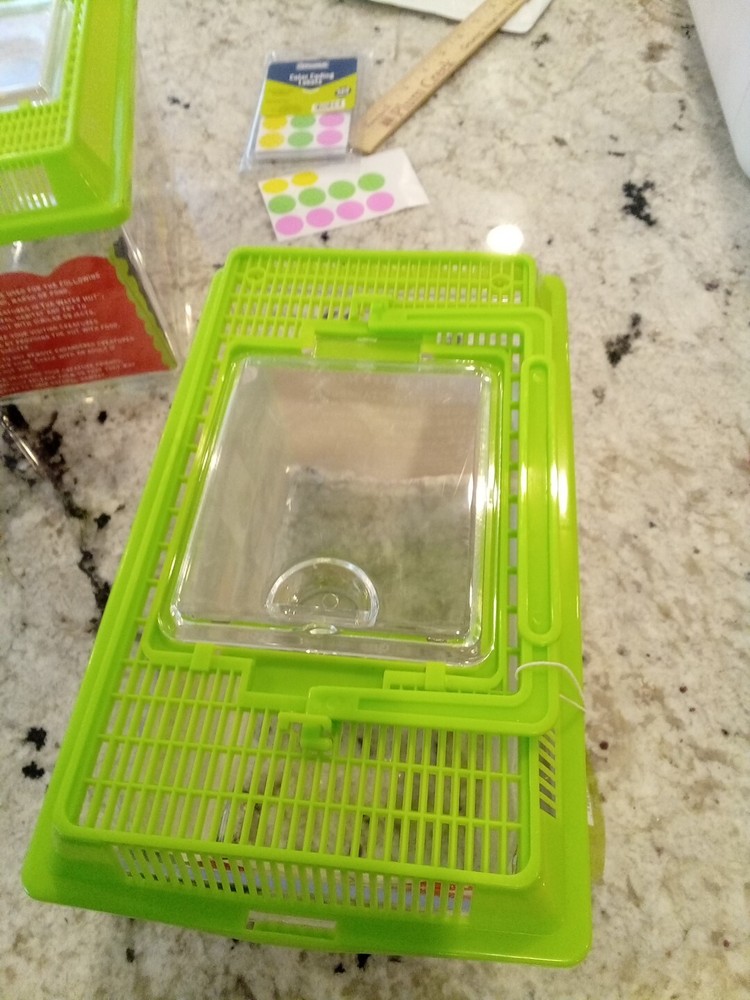 Toysmith Backyard Water Hut