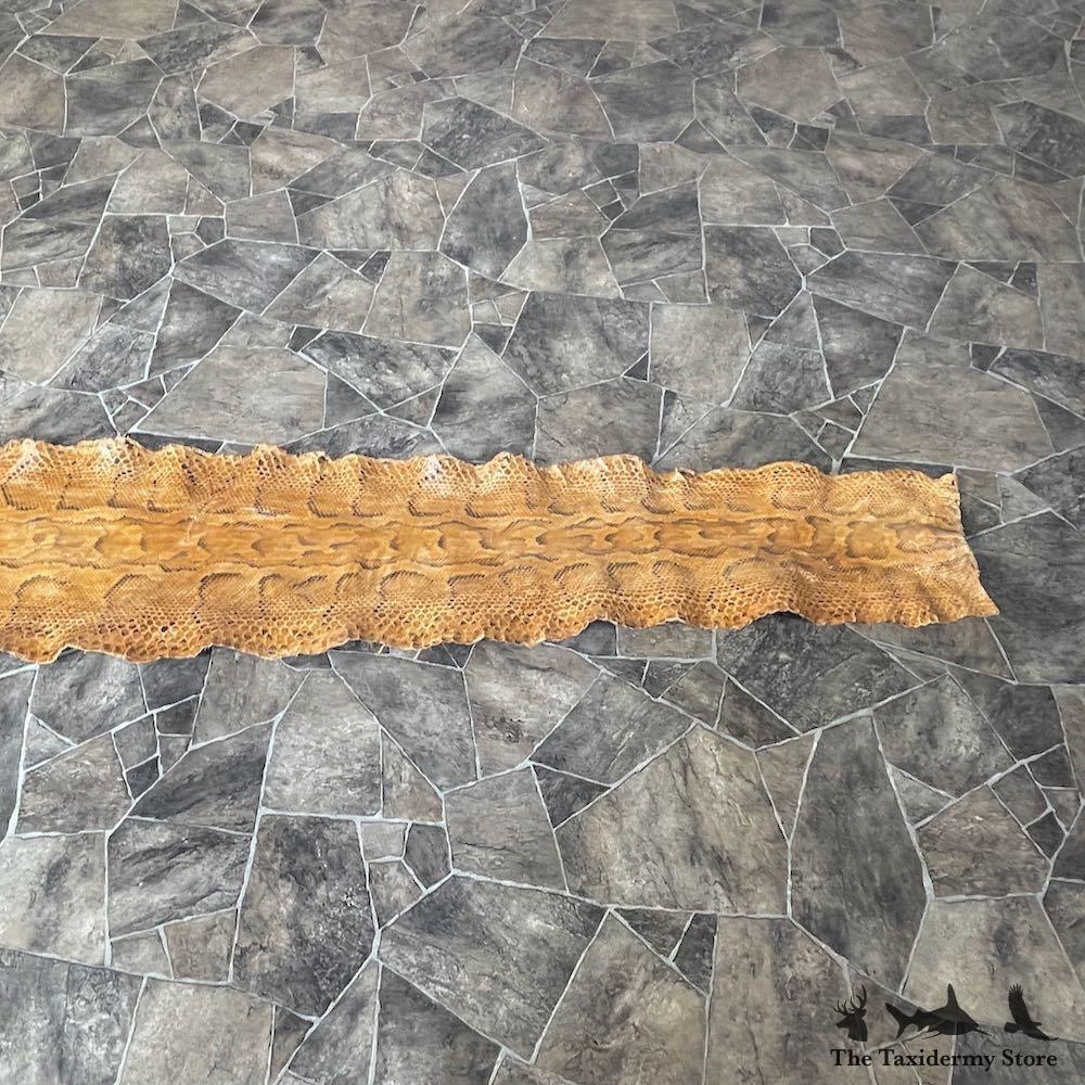 #26283 E | African Rock Python Snake Skin Rug Mount For Sale