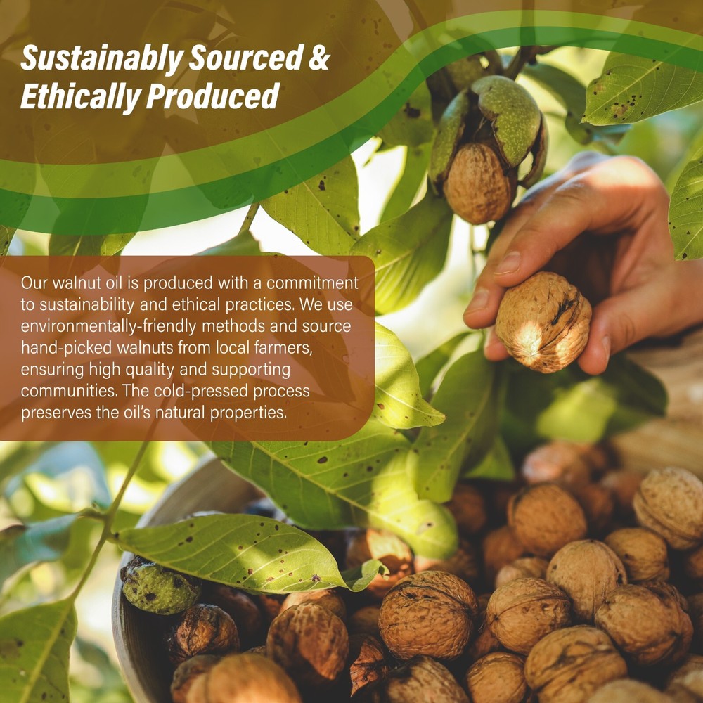 Walnut Oil 4 oz. Cold Pressed REFINED 100% Pure Natural
