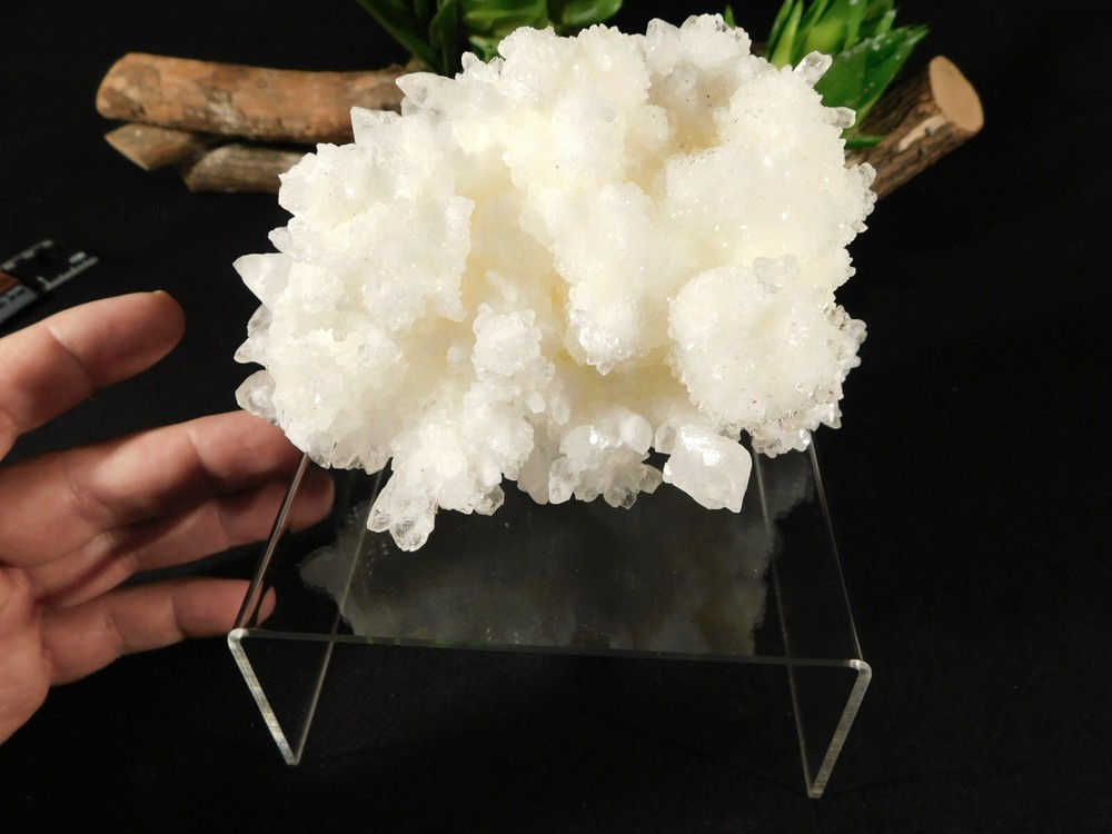 Display Stand Riser Type Short Clear Lucite Large Size