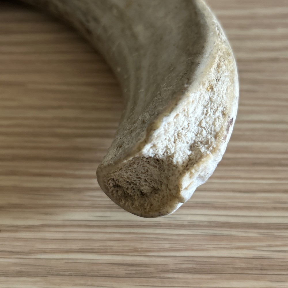 Antique Handmade Knife, Antler Bone Handle