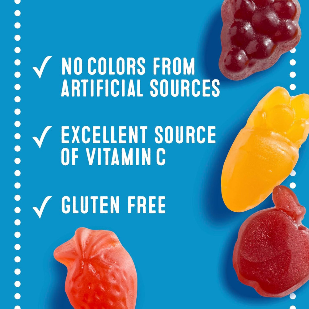 Fruit Flavored Snacks, Assorted Fruit, Gluten Free Snack, Stocking Stuffers, Fam