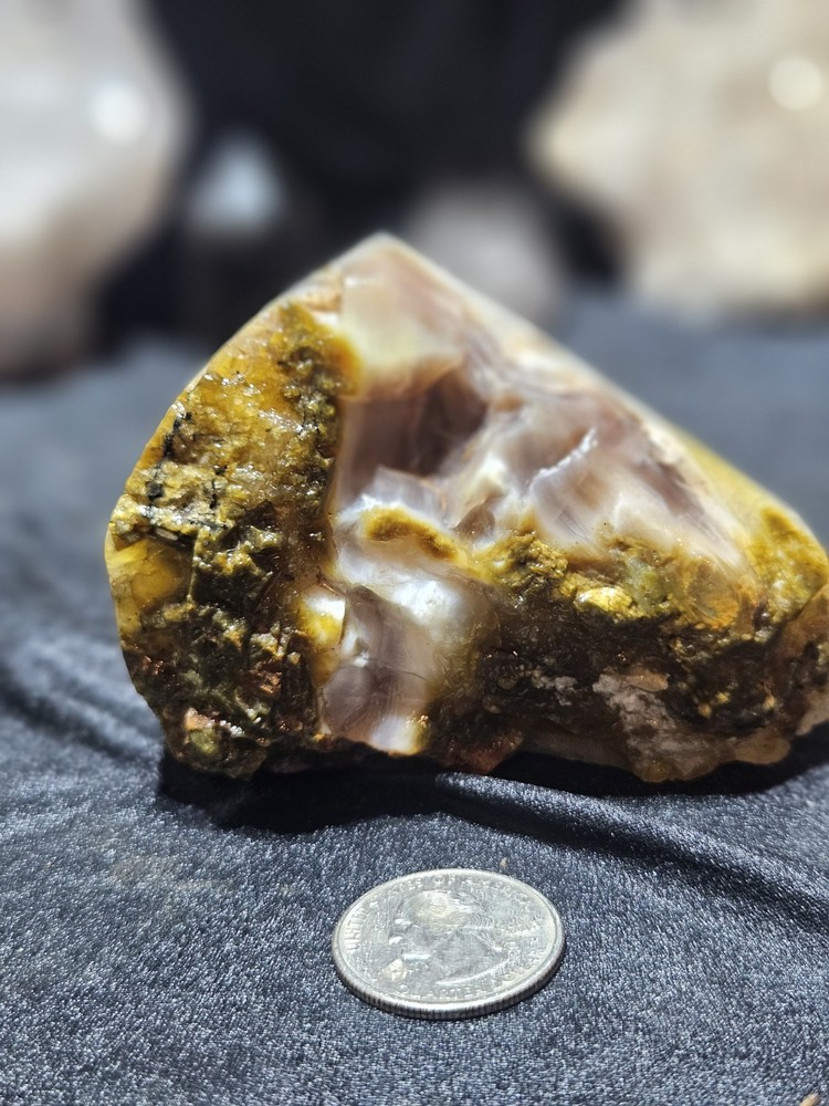 Petrified Wood Opalized Multicolored Polished Specimen (8.4oz)