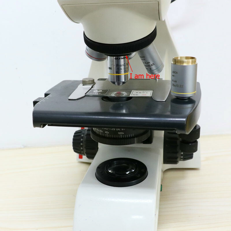 Thread Microscope Objective Lens Adapter Ring M25 M26 M27 M32 to RMS