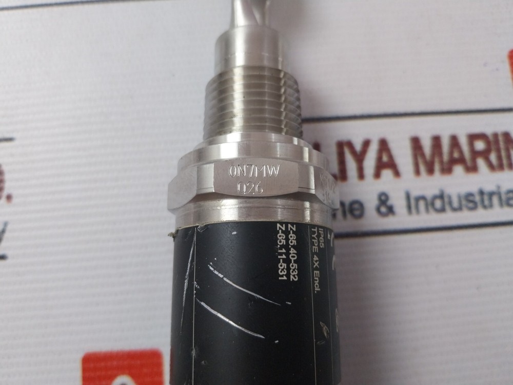 Endress+Hauser Liquiphant FTL31 Point Level Detector IP65