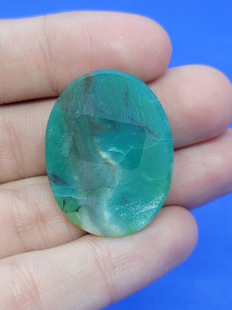 Indonesian Blue Opalized Petrified Wood Cabochon