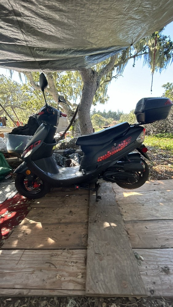 Tao Tao Moped Scooter
