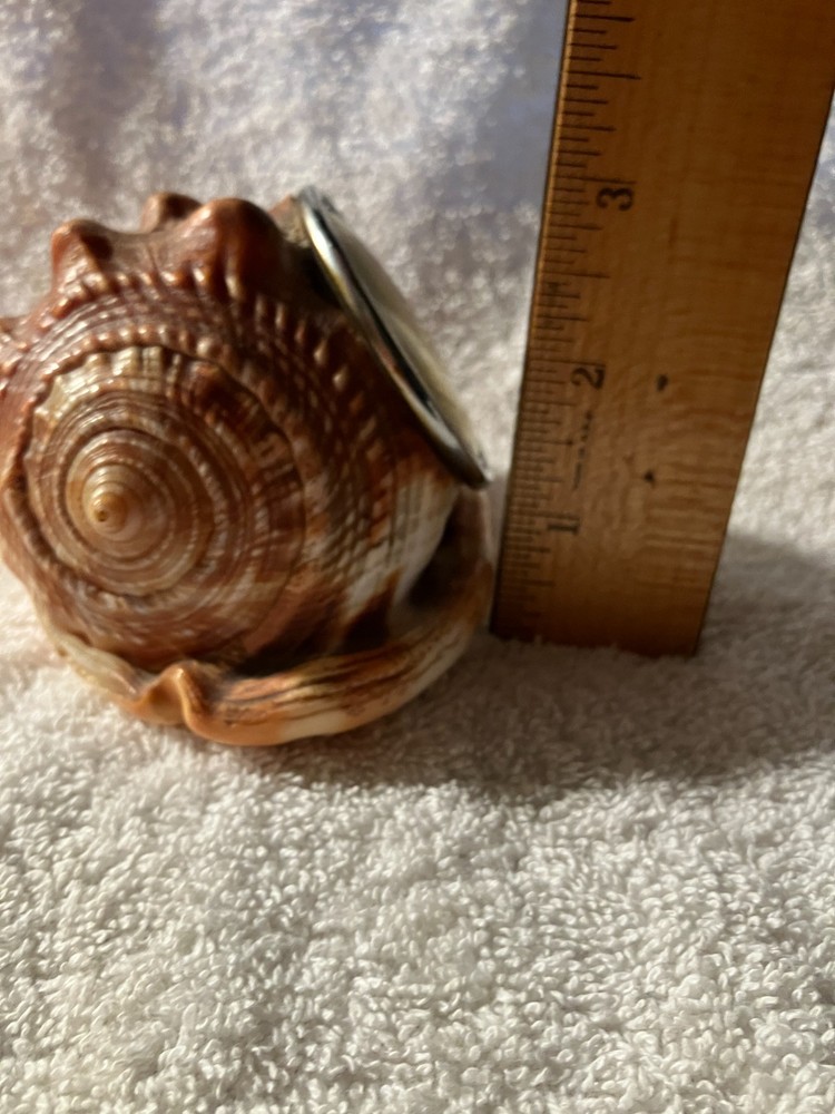 Vintage Rochester Room Thermometer in a Shell