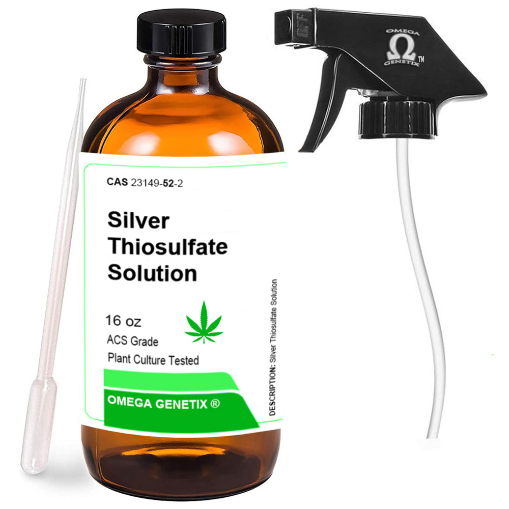 Silver Thiosulfate Solution 16 oz