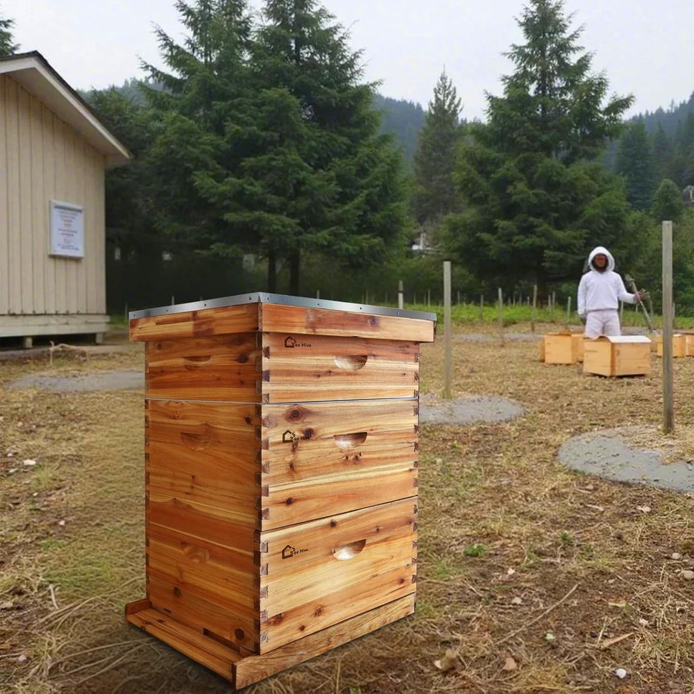 3 Layer Beekeeping Starter Hive Kit 2 Deep 1 Medium 10 Frame Cedarwood Kit