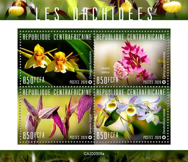 Orchids