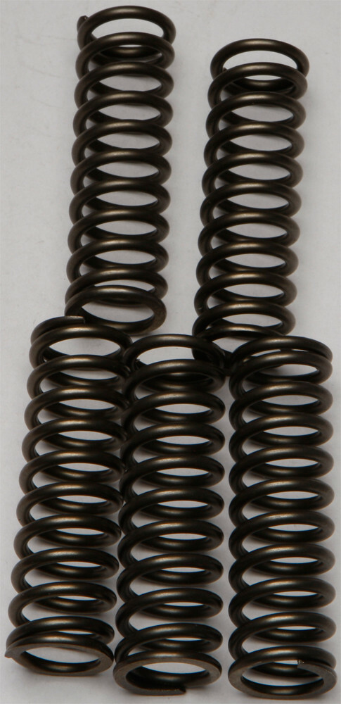 EBC CSK Clutch Spring Kit CSK169