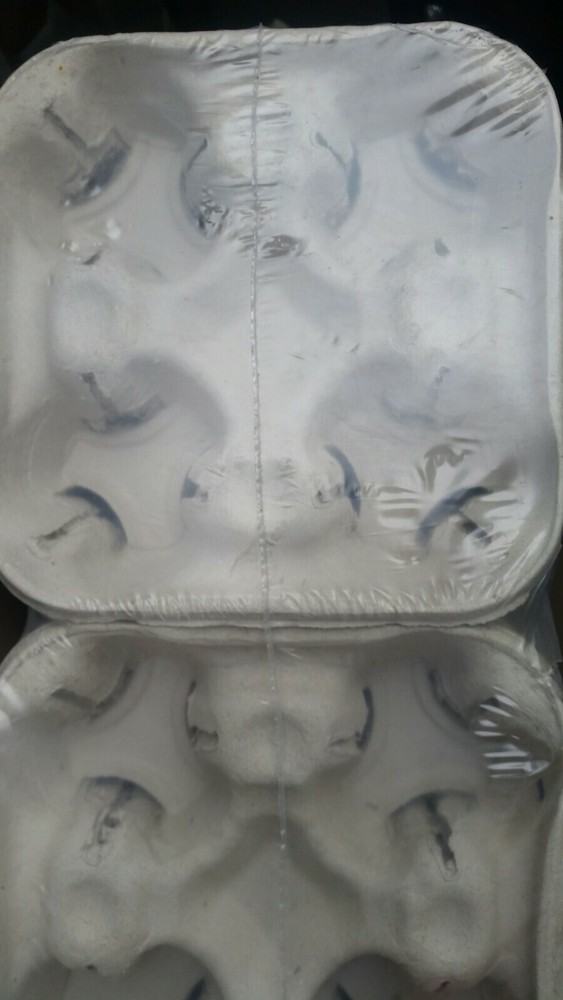 25 Pack 4 Cup Drink Carrier Tray Biodegradable