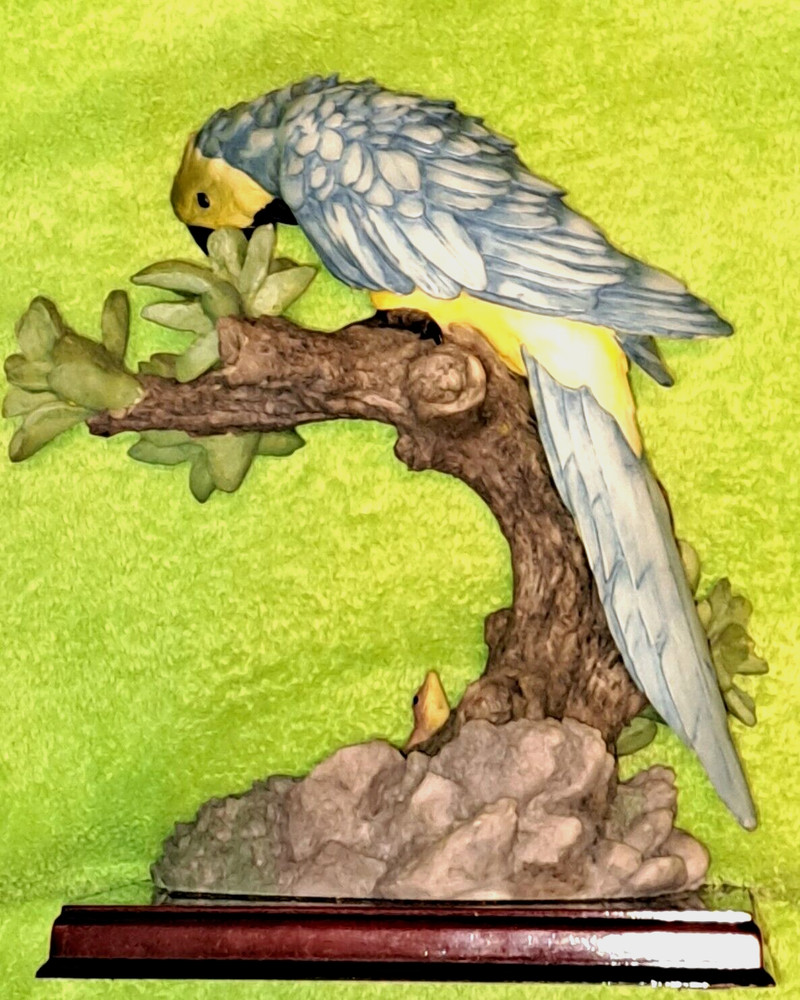 LEONARDO " THE MACAW PARROT " w/ Lizard BLACK/BLUE/ WHITE/YELLOW