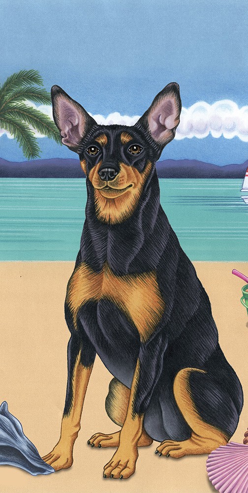 Miniature Pinscher Summer Fun Beach Towel