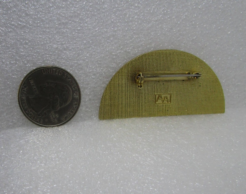 1981 Rainbow Fall Decatur Georgia Pin