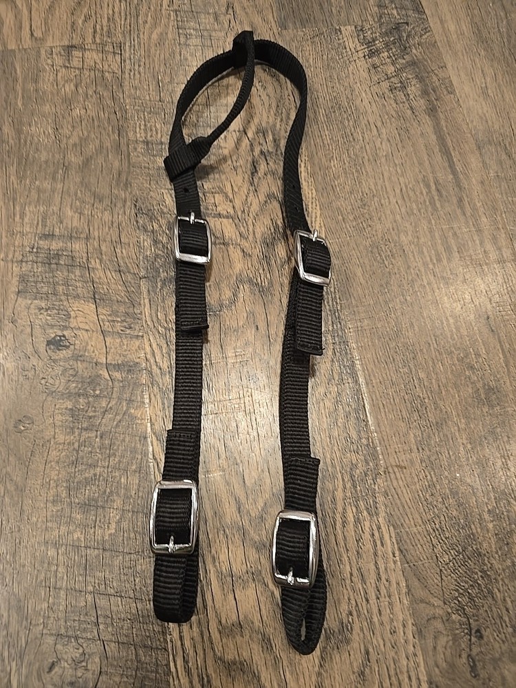 horse headstall