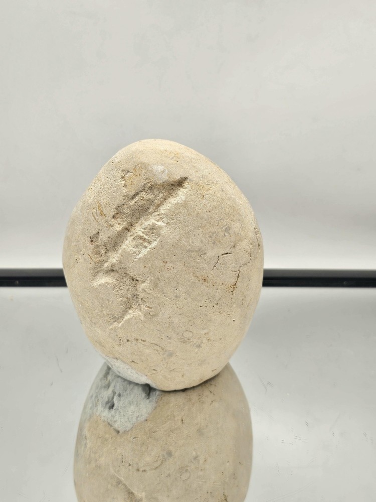 Exceptional Celestite Crystal Geode (#DP)