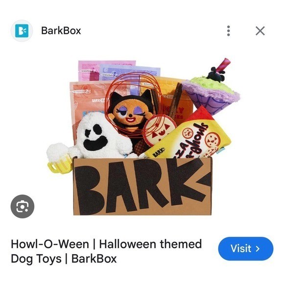 Bark box halloween catsuit kitten
