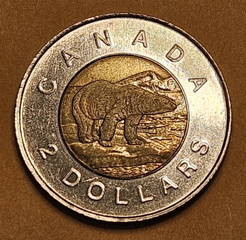 1996 Toonie Canada 2 Dollar Coin