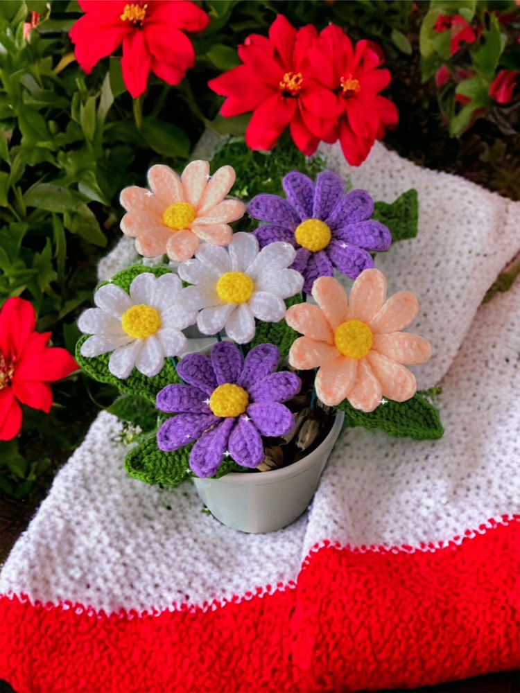 Crochet Colorful Daisies »
