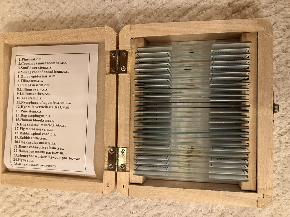 Prepared Biology AmScope Slides