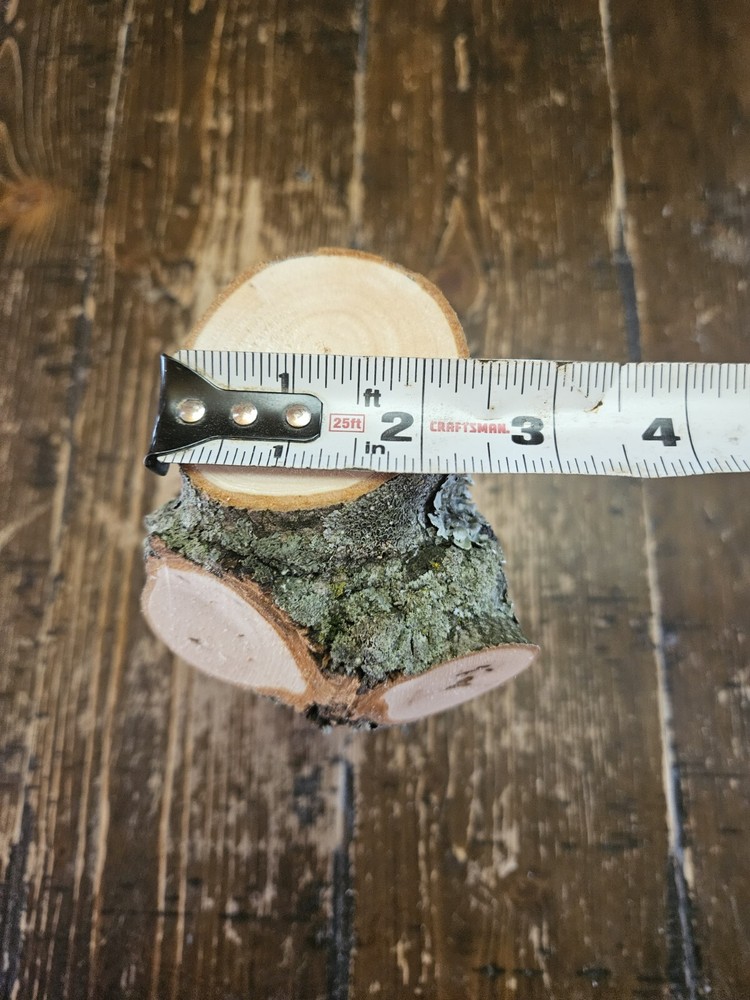 MAPLE Turning Crotch Log 9" Long M4851