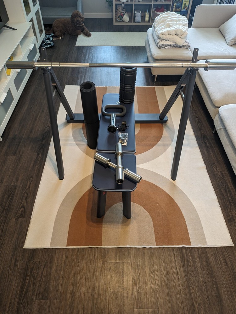 Tempo Studio Pro (home gym)