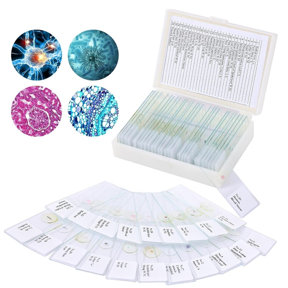 30 Microscope Slides with Diverse Specimens for Kids' Science Discovery