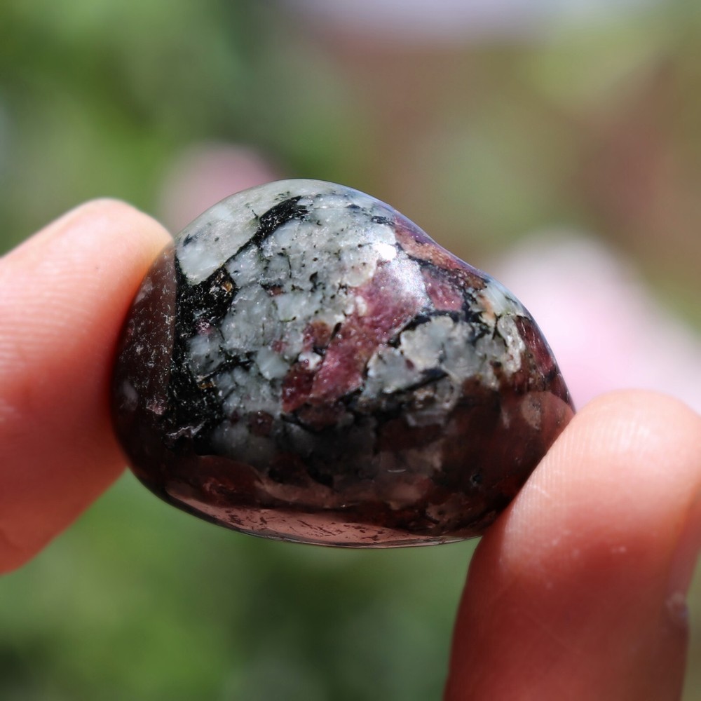 Polished Eudialyte, Fluorescent Mineral (EUD33)