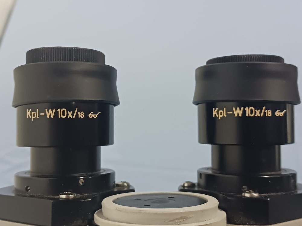 ZEISS Binocular Microscope w/ 4 Objectives & 2 Eyepieces